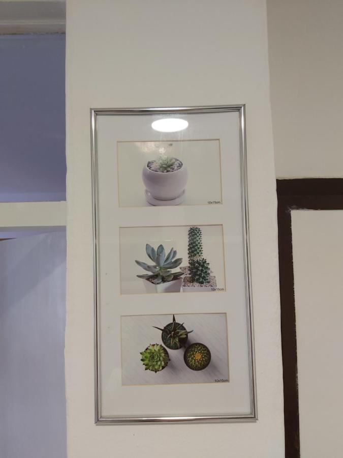 Apartment Bob *